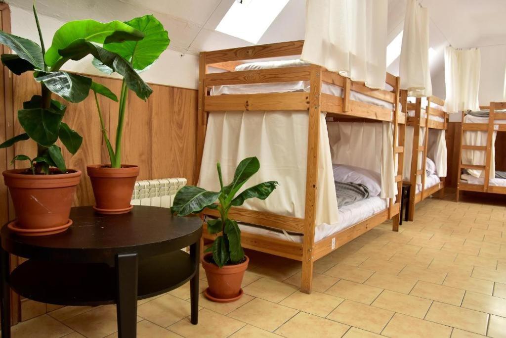 Mimosa Rooms Познань Экстерьер фото